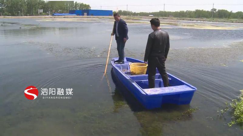 泗阳小龙虾多少钱一斤,宿迁小龙虾养殖基地