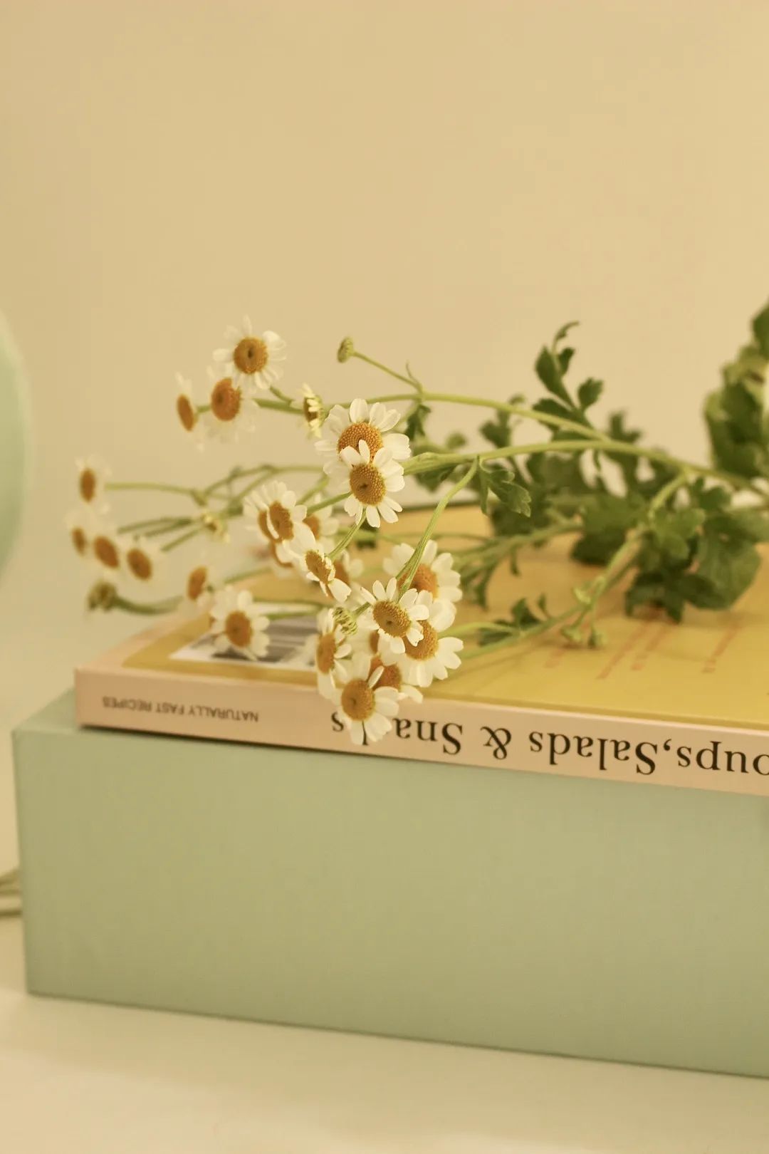 超实用的空瓶分享,空瓶爱用物推荐