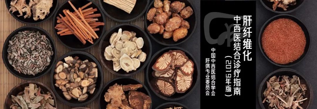 回顾：肝纤维化中西医结合诊疗指南（2019年版）