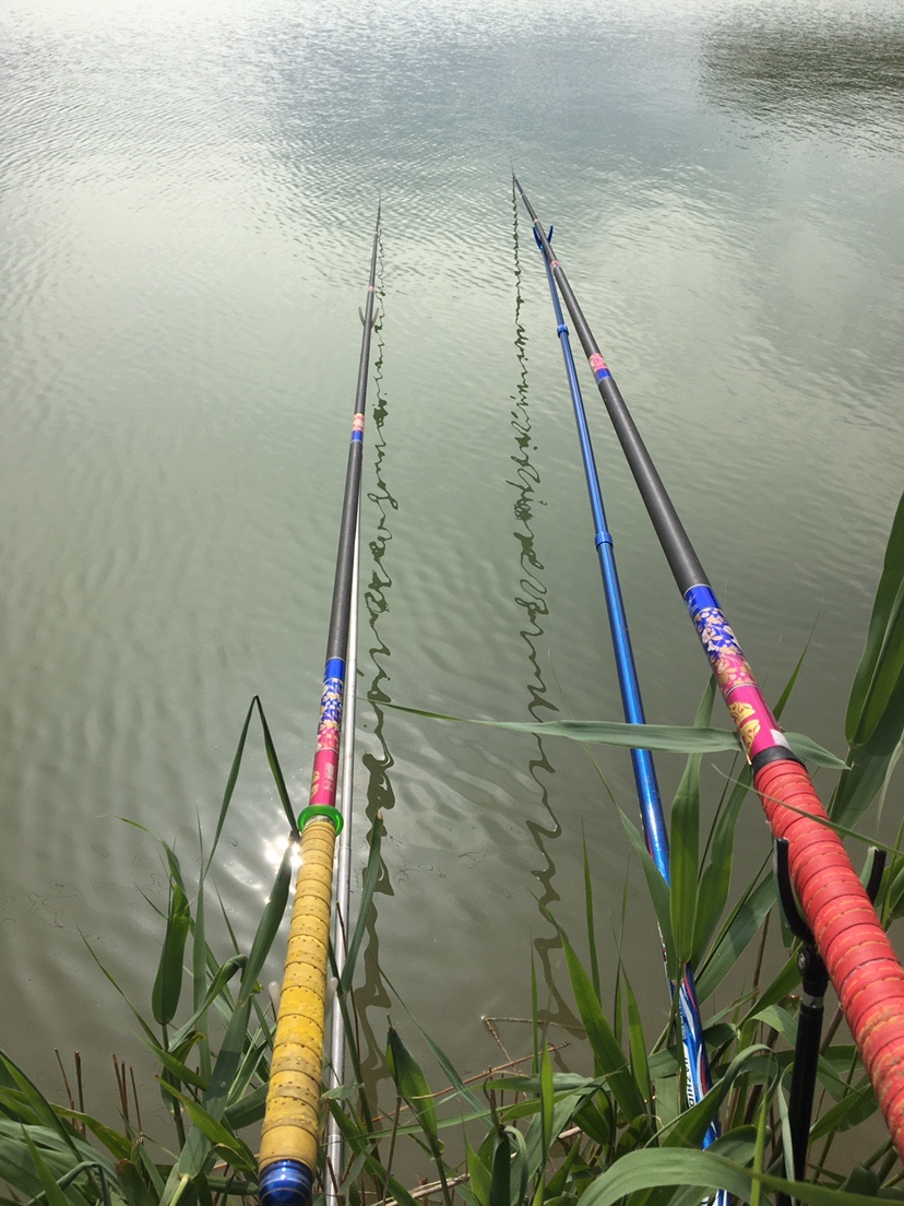 千里江河万亩山川，如何维持生态？值得钓友反思