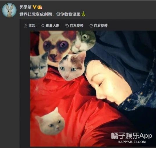 杨佑宁郭采洁都挺好杨祐宁,杨祐宁与郭采洁曾经因戏生情