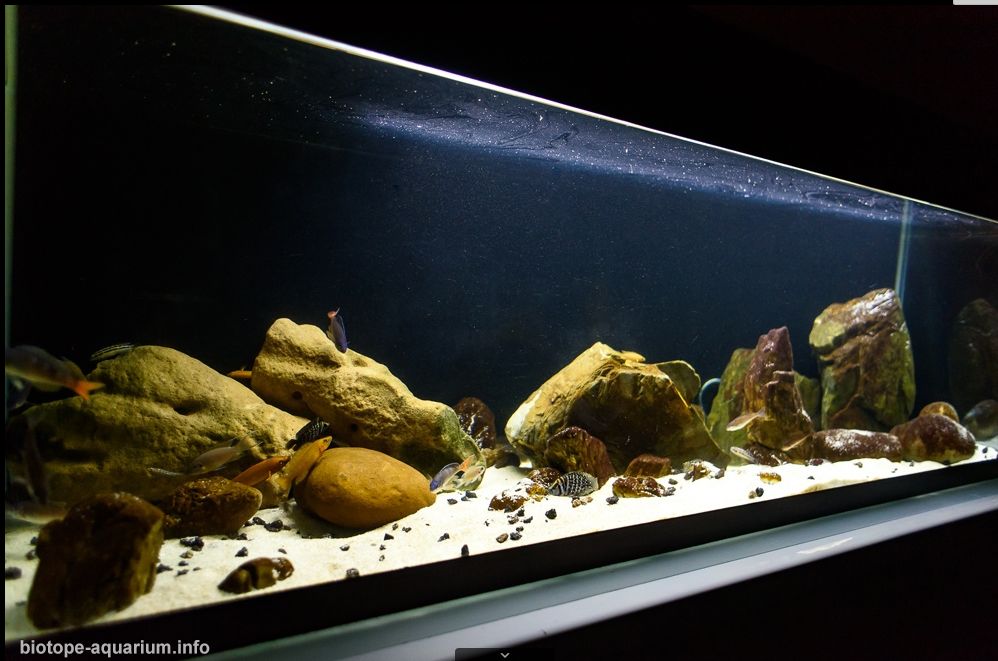 坦干喀伊湖纪录片全集,坦干伊喀湖图片