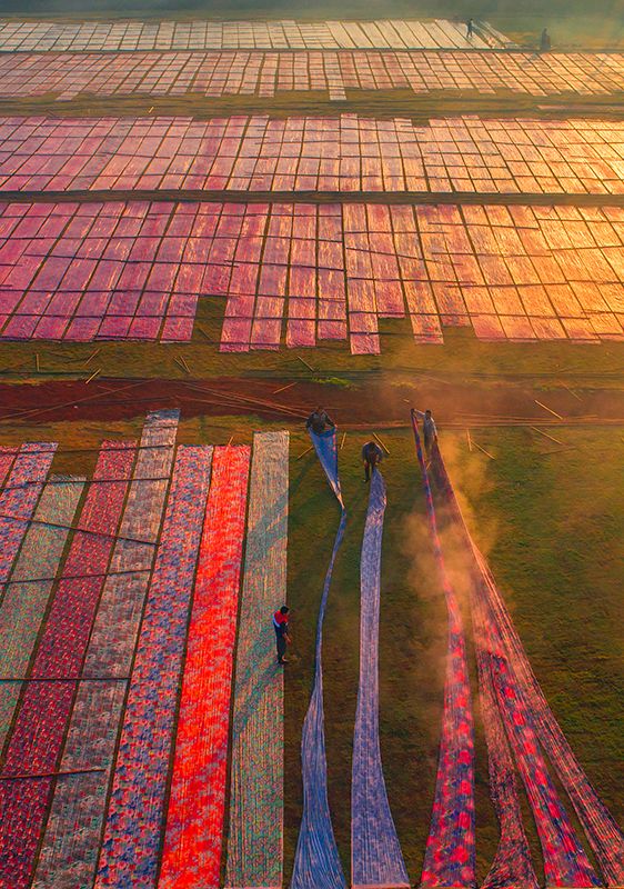 这里是广东,走进顺德
