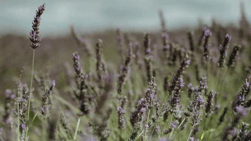 这床夏凉被，一盖就凉，不开空调也很爽