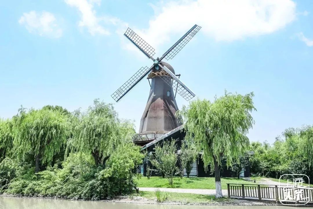 上海异国风情的景区,上海哪个异国风情小镇最好玩