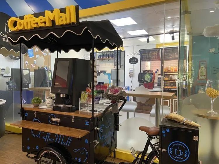 南宁一只咖啡猫,上海有布偶猫的咖啡馆