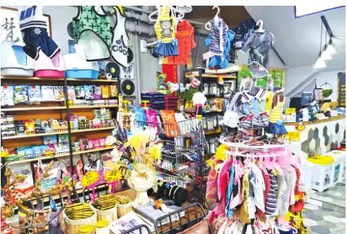 看看大庆人养宠物花了多少钱？吃穿、美容、买保险……