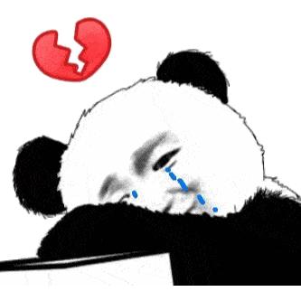 和猫咪接吻会怎么样,猫咪被亲了瞬间感觉不干净了