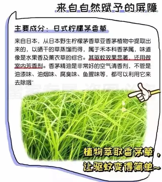 日本防蚊虫药膏,日本蚊子叮咬止痒膏儿童