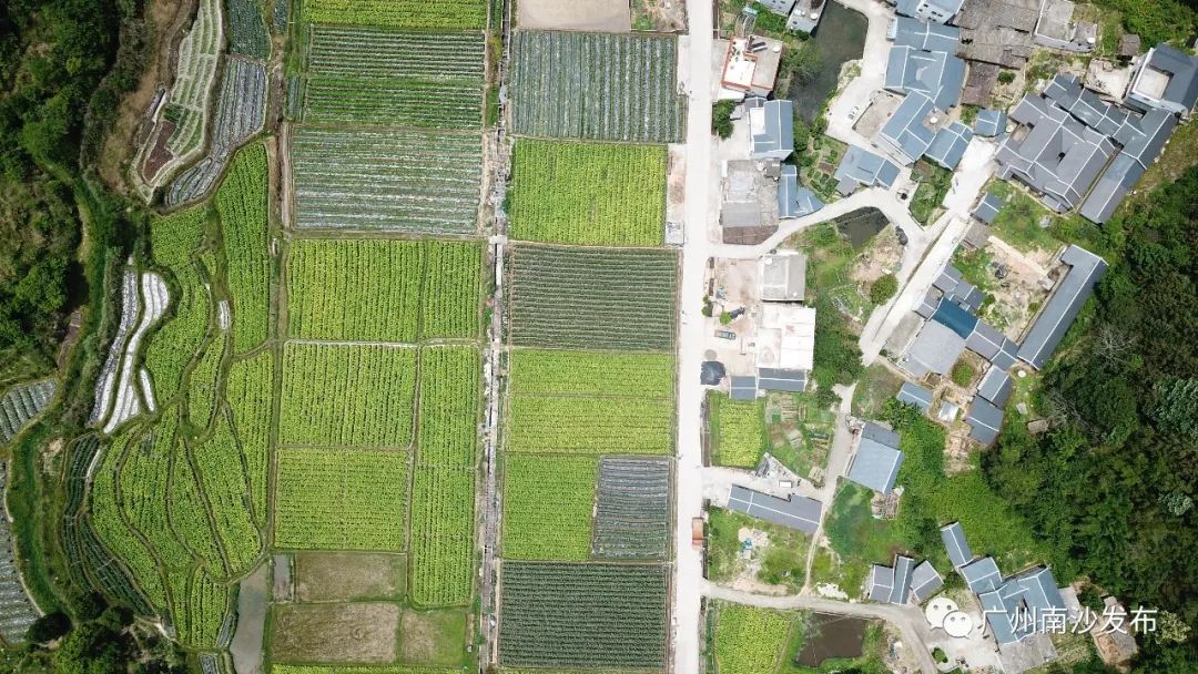 50%50%为什么等于0.75,100%黑巧克力怎么做好吃