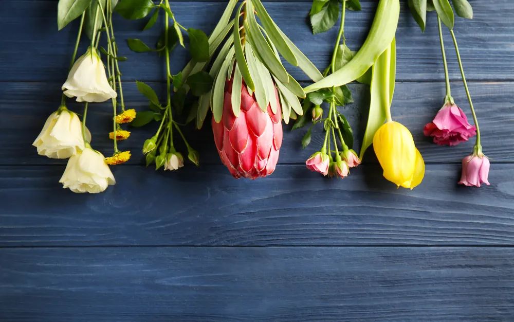 让老罗反转的视频,让老罗卖假酒什么后果