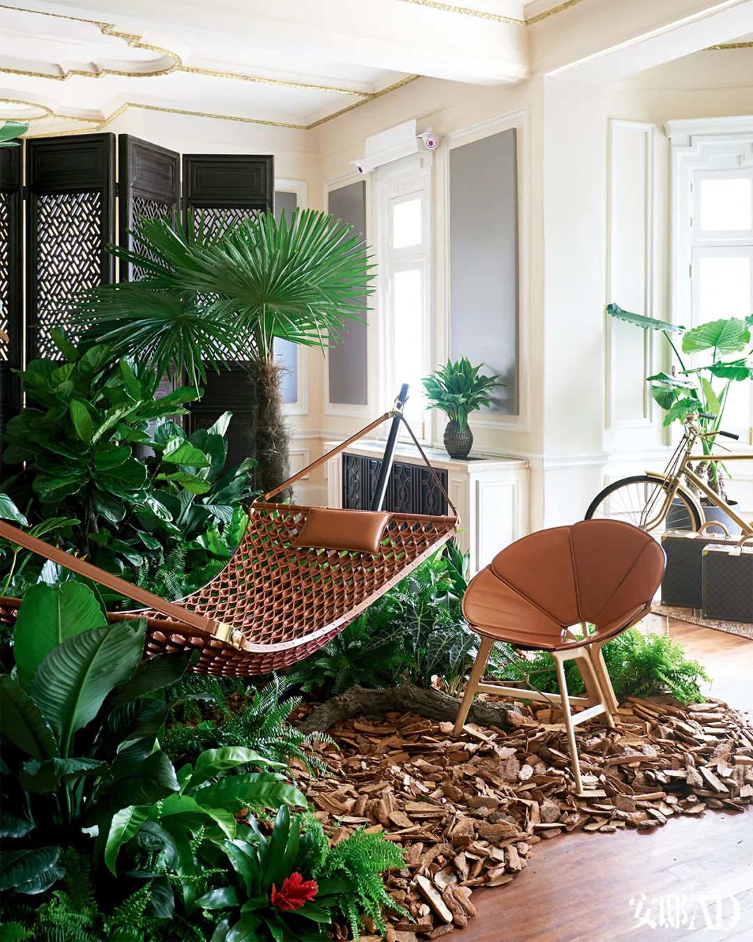 一只硬箱的传奇之旅