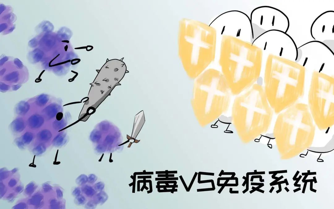 系统性红斑狼疮可以接种hpv疫苗吗,系统性红斑狼疮患者打几价hpv疫苗