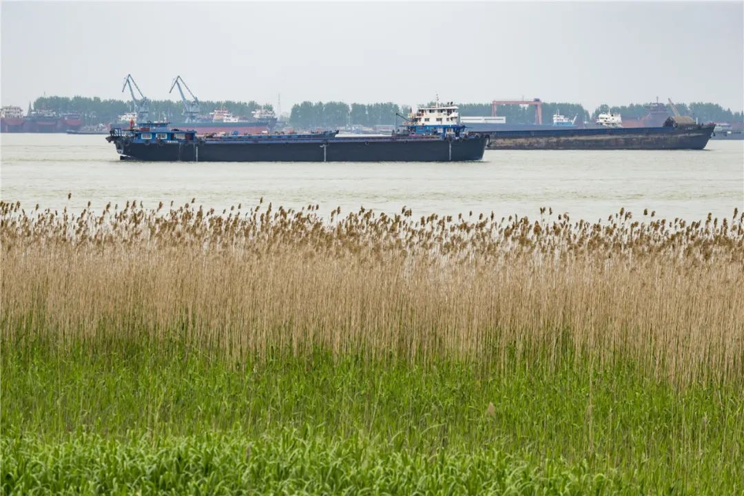 未来五年江阴这里真的会大变样吗,新动作新气象