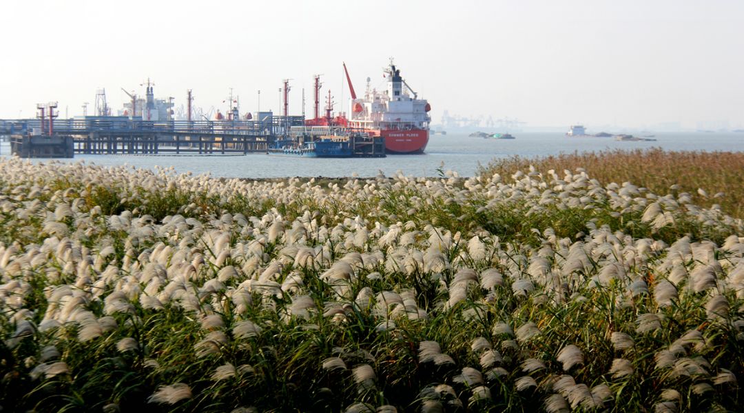 未来五年江阴这里真的会大变样吗,新动作新气象