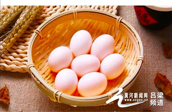 吕梁信鸽市场在哪里,吕梁信鸽批发市场