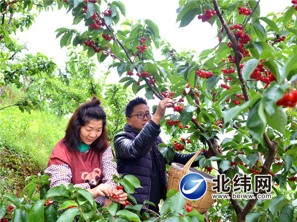 迎接新挑战开创新征程,迎接新挑战开创新辉煌