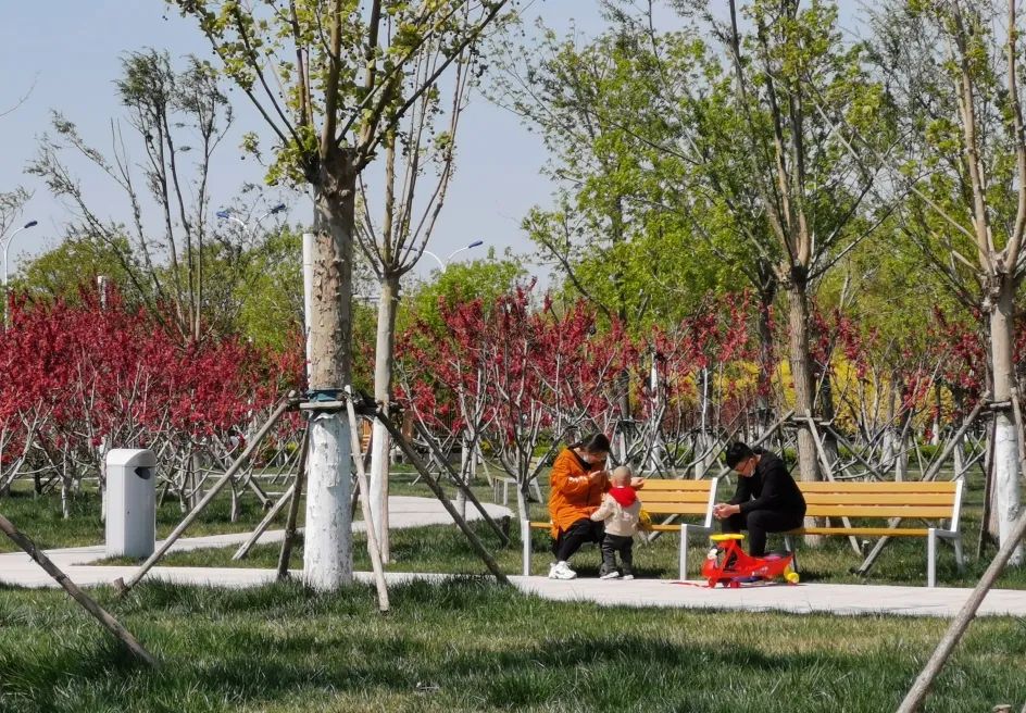 天津疫情期间开放的公园,天津北辰郊野公园现在开放吗