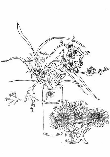 白描菊花国画如何上色,国画白描菊花图片大全