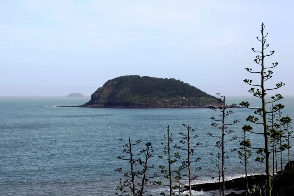 一半是火焰一半是海水啥意思,一半是火焰一半是海水全文