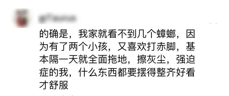 冬季蟑螂不休眠抓住灭蟑的好时机,灭蟑螂的最好方法家里有很多蟑螂