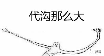 大花四照花花语,大花四照花