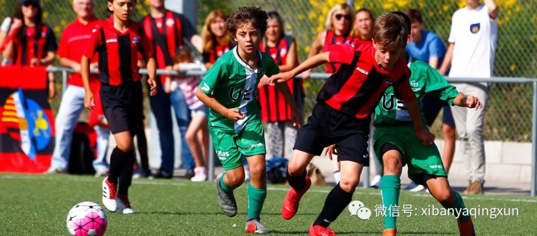 青少年联赛积分,青少年联赛2020