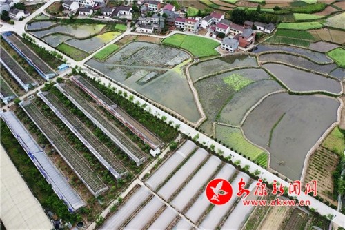 石泉旗帜领航助推乡村全面振兴,石泉县池河镇乡村