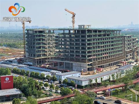 武汉航发智慧封顶仪式,武汉航发新城创新基地位置