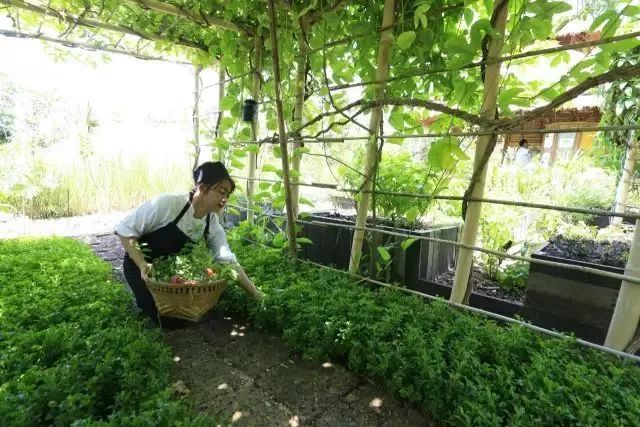 巴厘岛六善酒店套餐,巴厘岛六善预售
