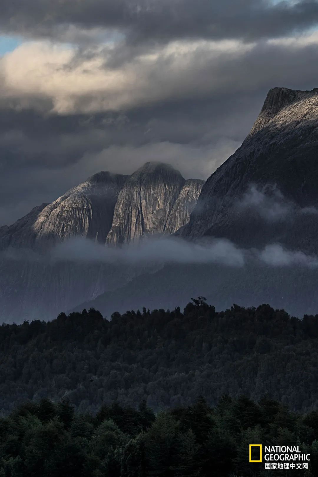 这对夫妇花巨资买下国家公园，居然白送？
