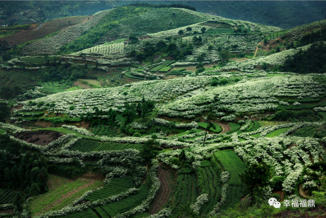 要把城市变美,福鼎市创建生态文明城市