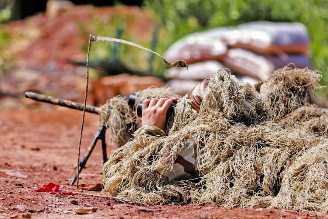 鏄熸湡鐗瑰垔,姣忓懆鐗瑰垔