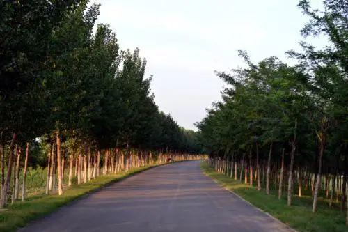 天津市六一都有什么活动,六一假期天津