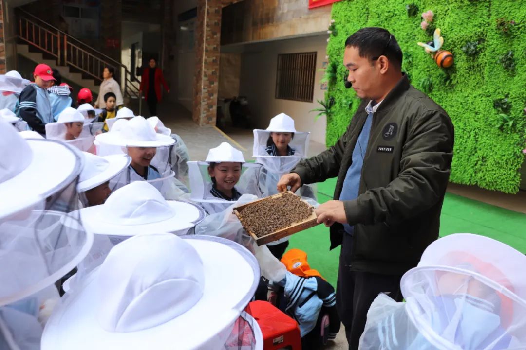 南宁市民主路小学教学理念,南宁市十大好小学