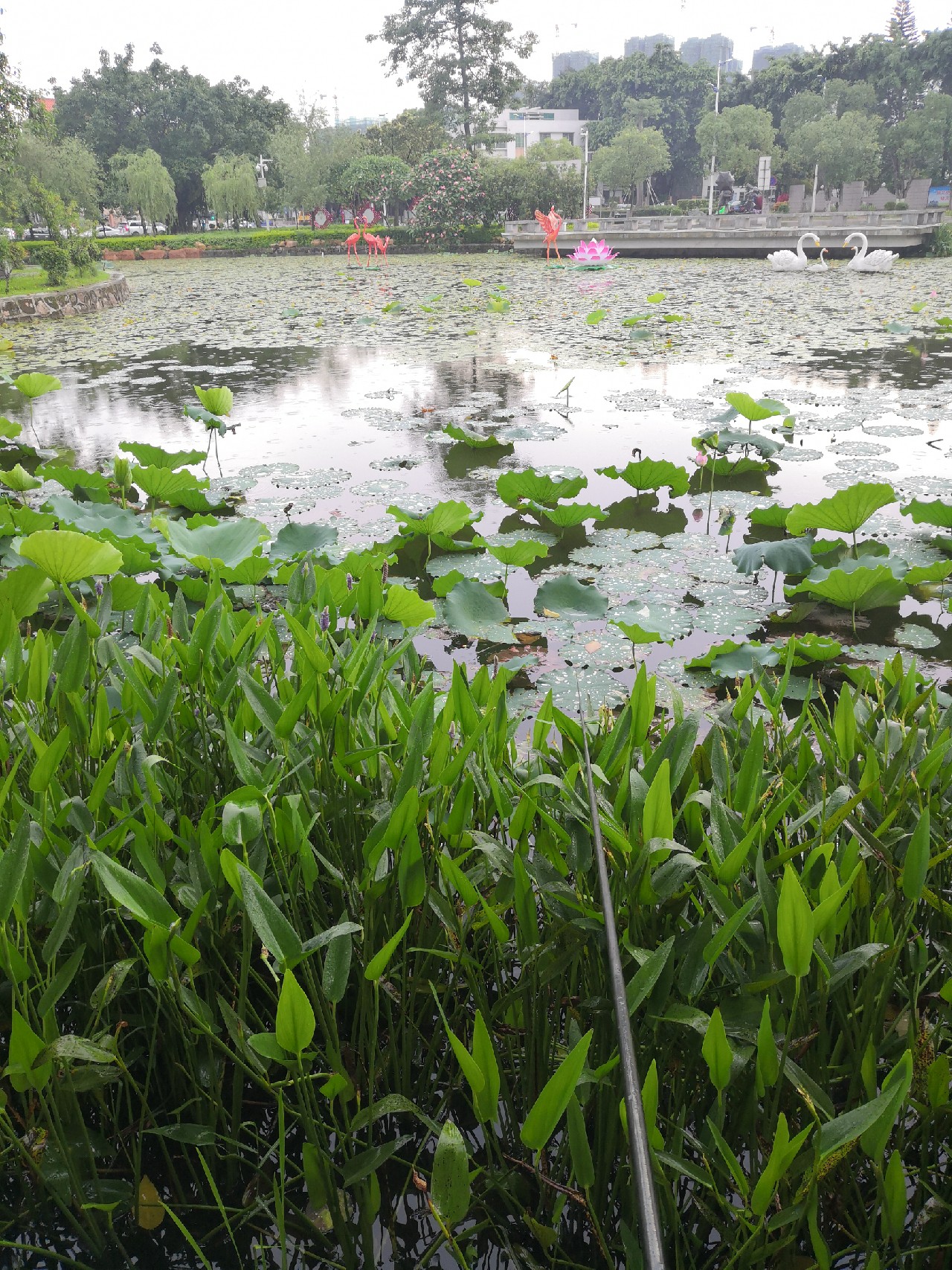 钓鲫鱼饵料经典配方钓友自制,分享一款常用饵料