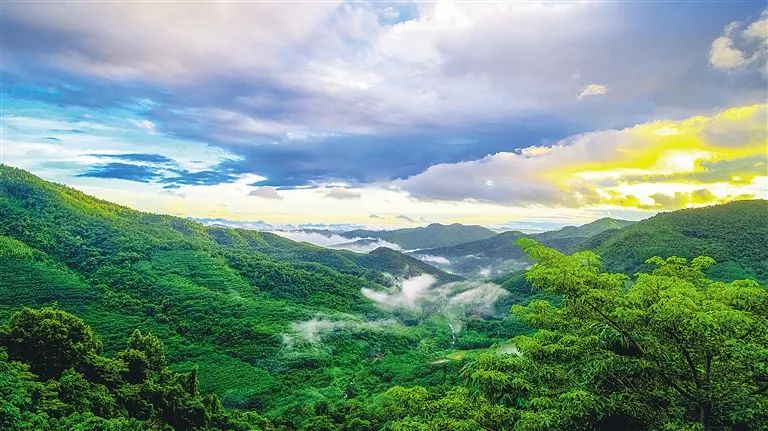 海南自由贸易港2025年后会怎样,最新海南自由贸易试验区建设