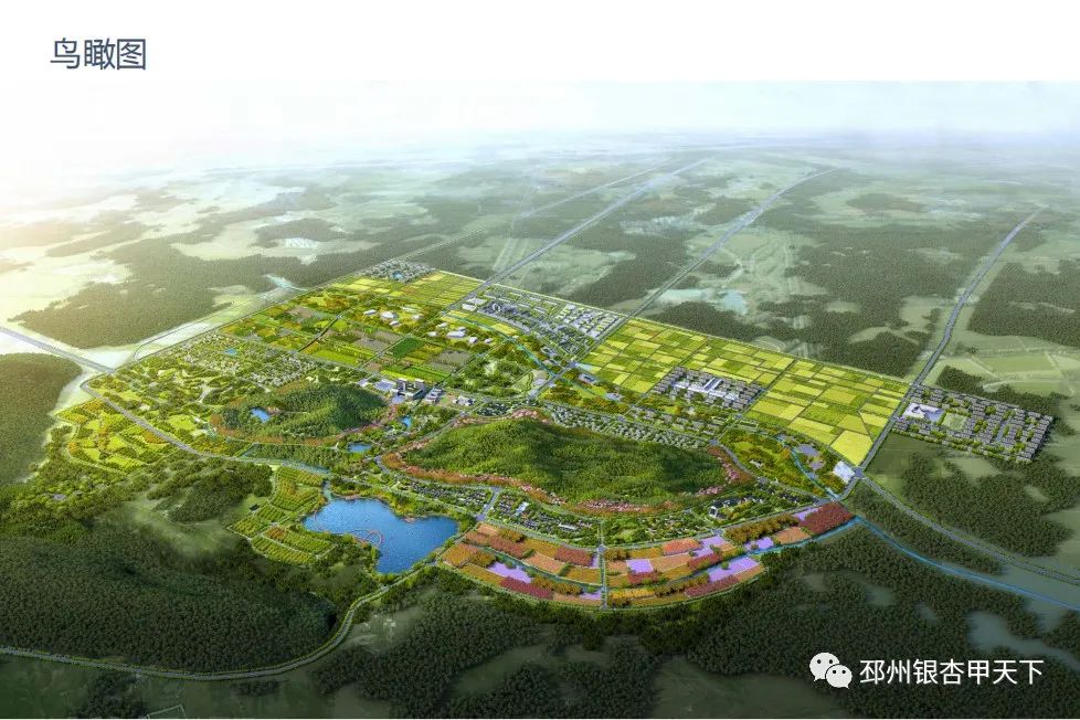 邳州国企招聘最新信息,江苏润城资产2021邳州招聘