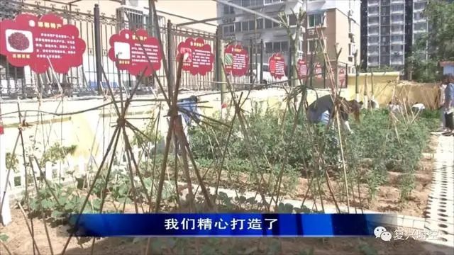 邯郸复兴区建设北小学,邯郸复兴区建设北小学怎么样