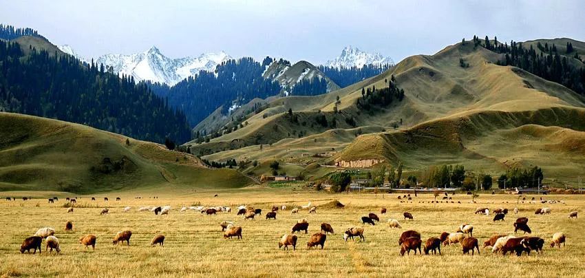 「一带一路」张晓通许子豪：“一带一路”海外重大项目的地缘政治风险与应对——概念与理论构建