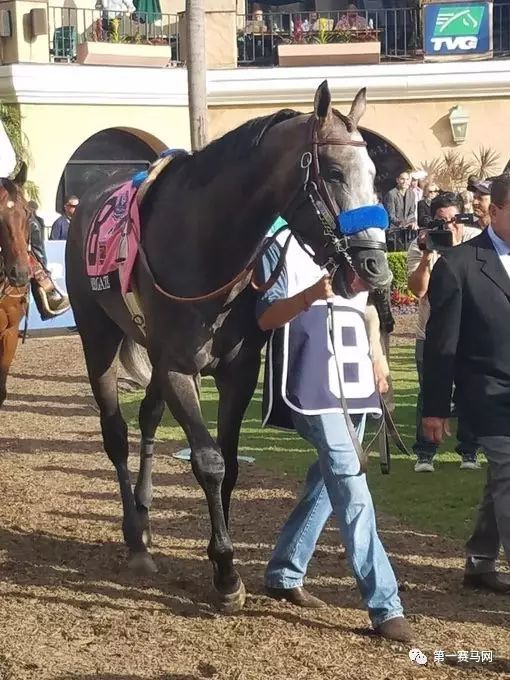 天妒英才5位英年早逝明星,马王鸠占鹊巢怎么死的