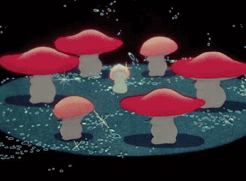 云南人在这件事上,命比谁都硬