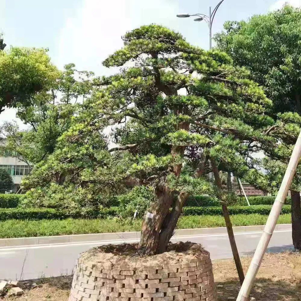 保亿湖风雅园合院杭州,探索杭州豪宅