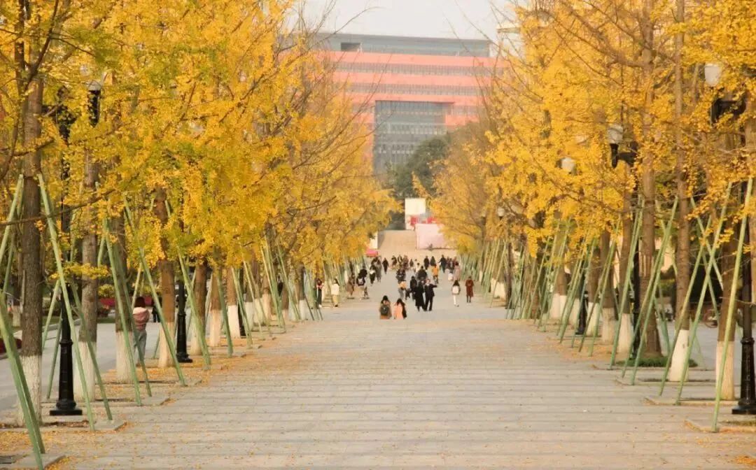 成都大学是什么级别的大学,成都大学和四川轻化工大学