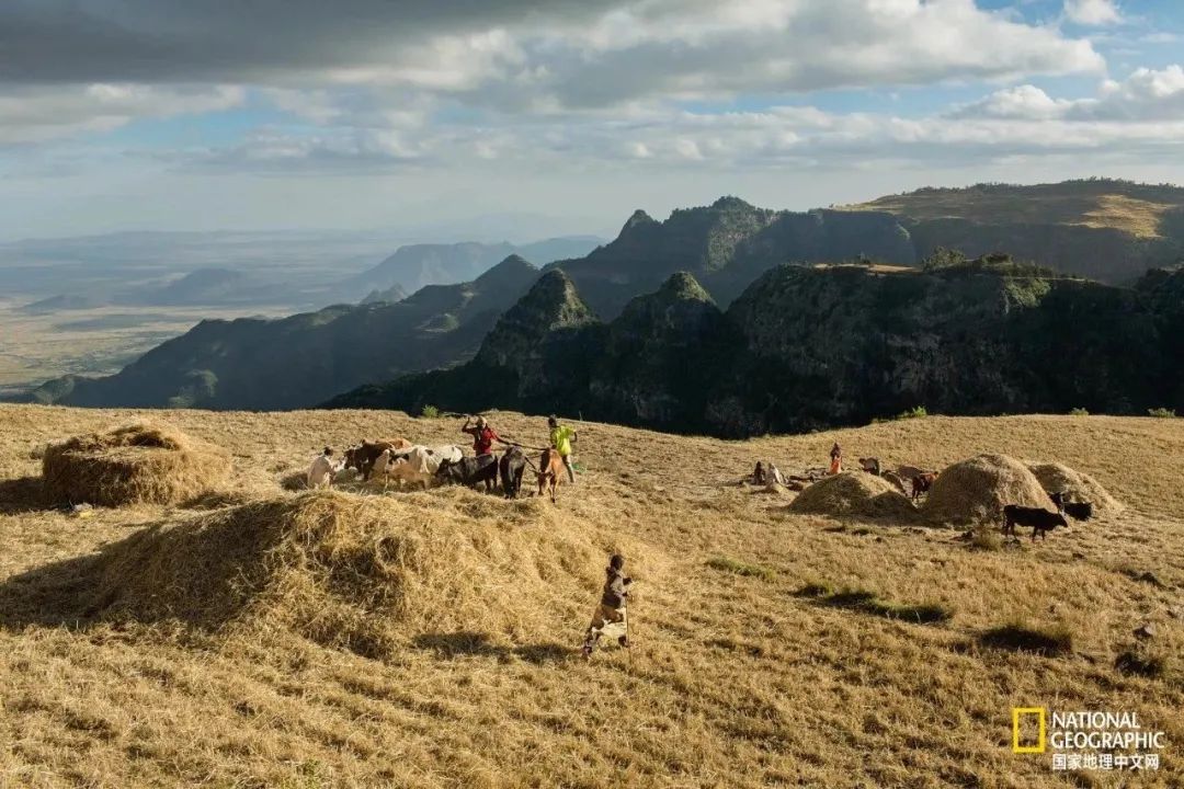 芒种至仲夏始人生丰收时,芒种至仲夏始介绍