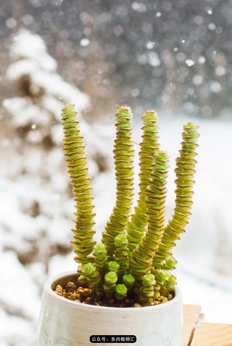 专注于自己喜欢的事情,专注于自己喜爱的事情