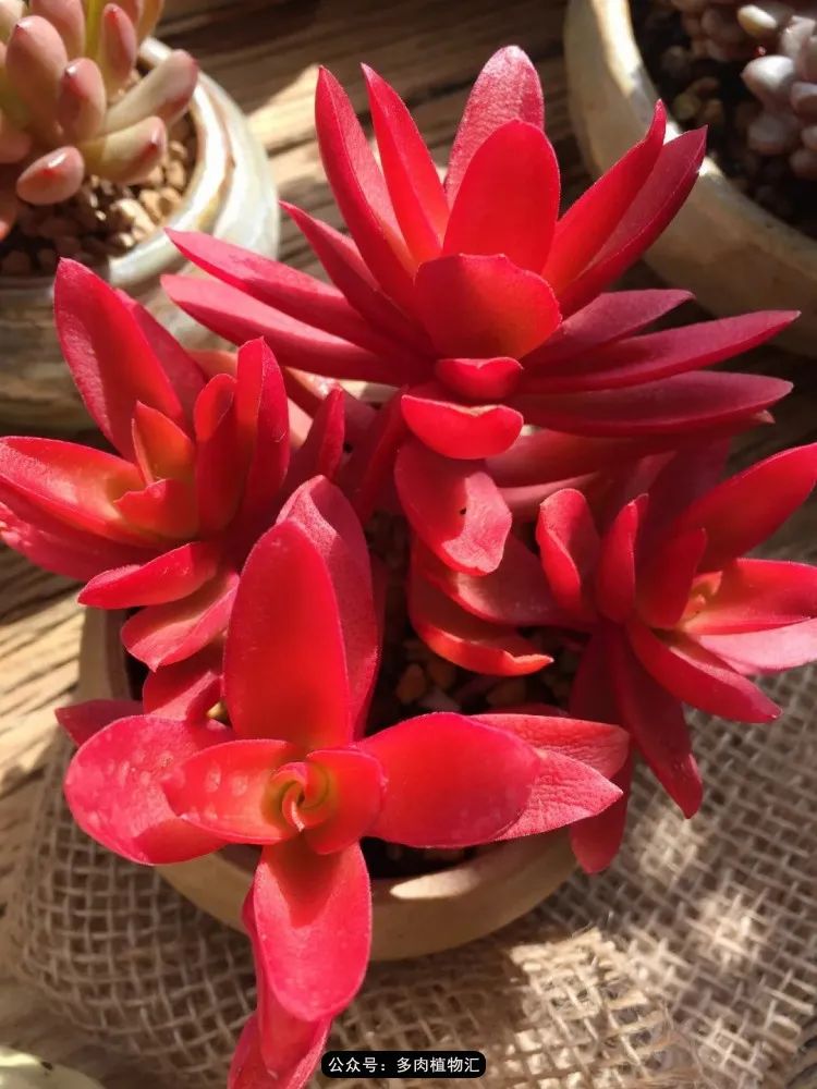 专注于自己喜欢的事情,专注于自己喜爱的事情