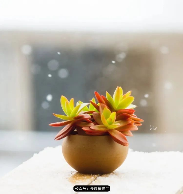 专注于自己喜欢的事情,专注于自己喜爱的事情