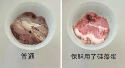 冰箱如何除菌除味,冰箱除菌就能防串味吗