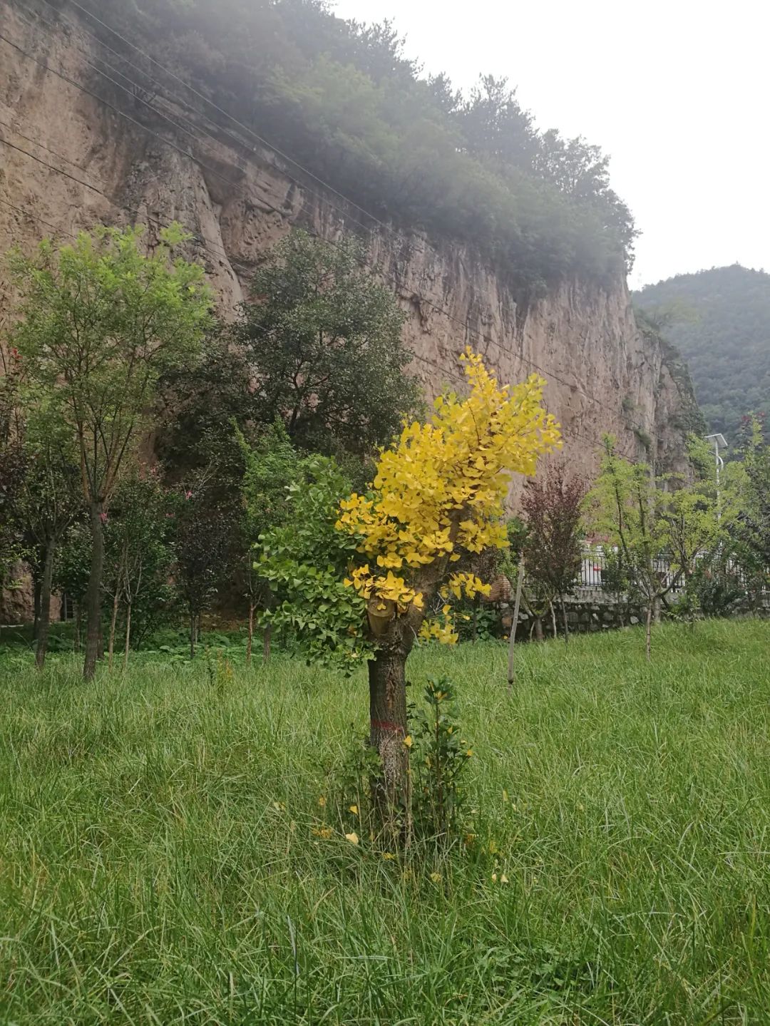 三番五次离家出走,三次离家出走的男孩